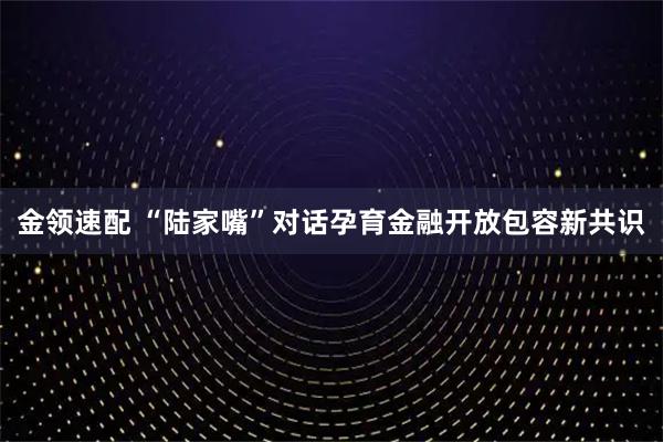金领速配 “陆家嘴”对话孕育金融开放包容新共识